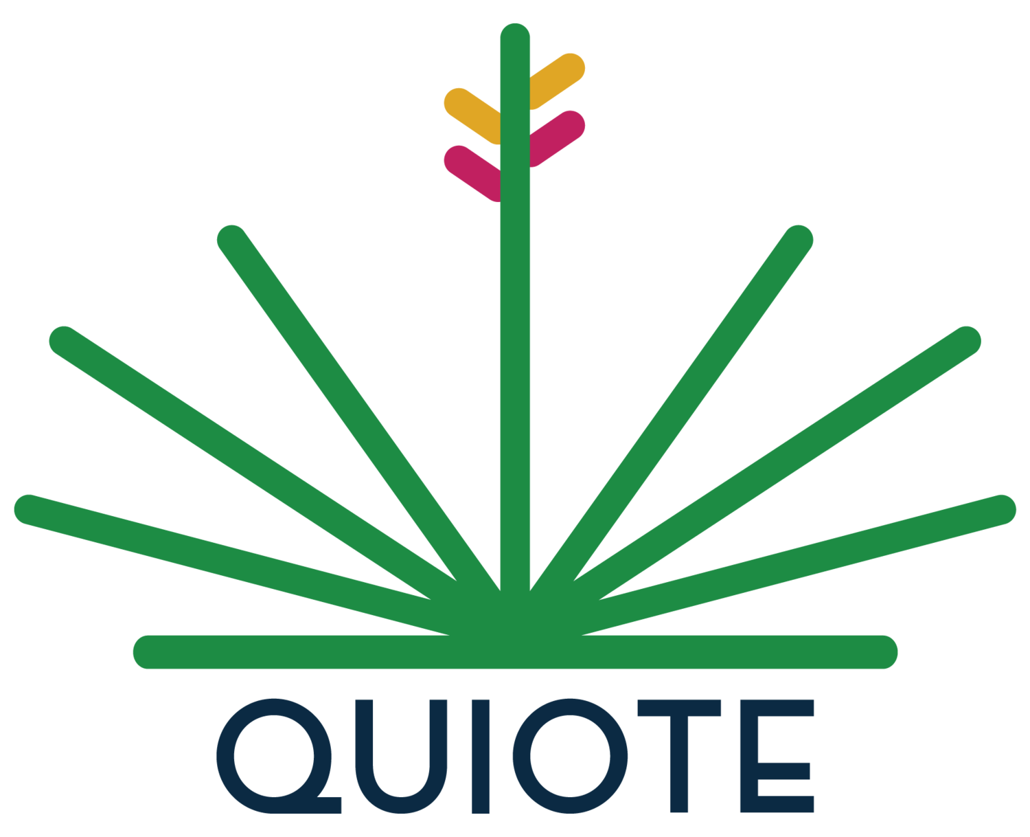 Quiote